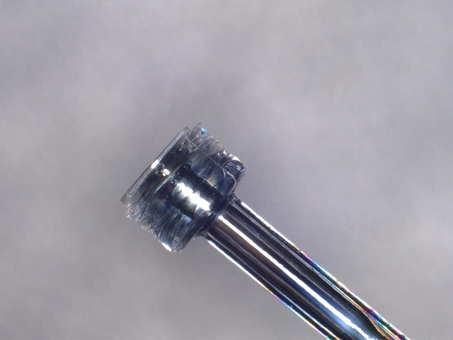 Microscope view of a formed nailhead with a clean, fully seated flange