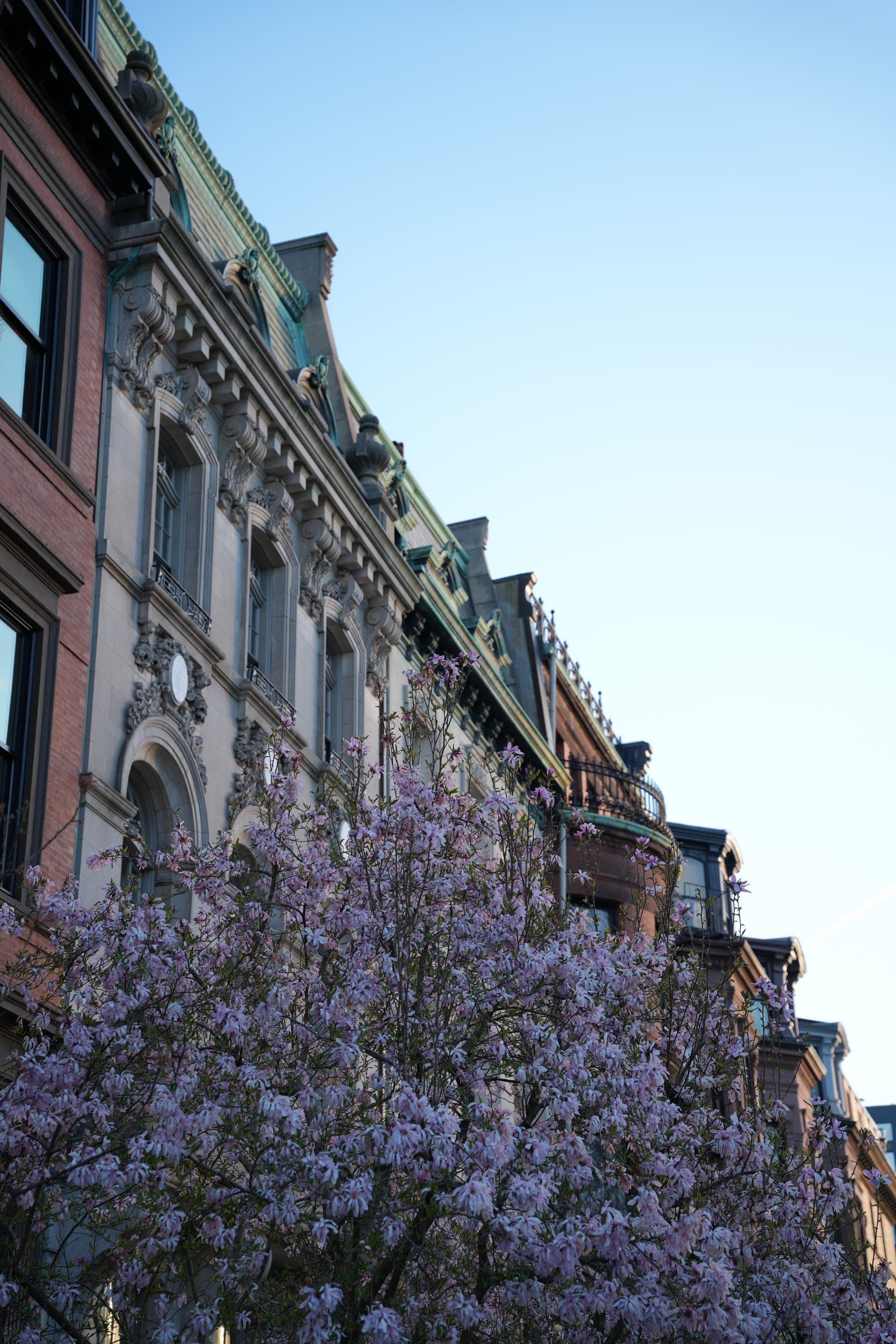 Commonwealth Avenue architecture