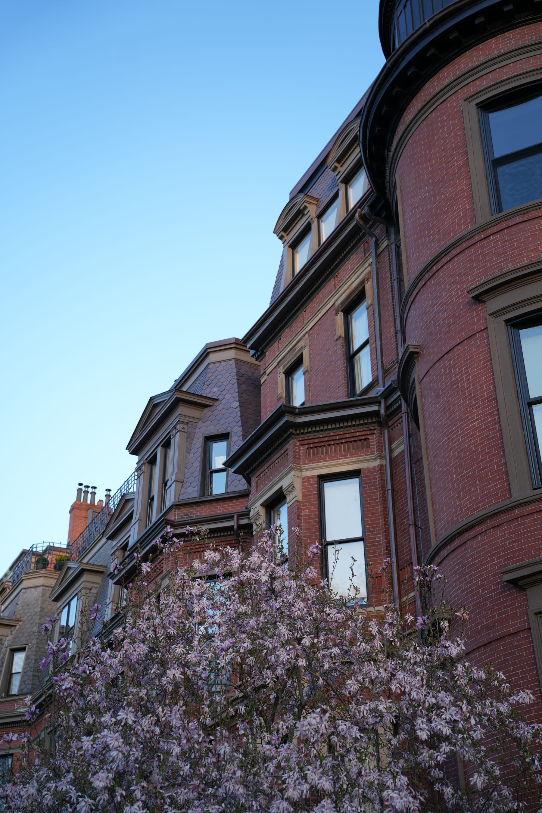 Commonwealth Avenue architecture