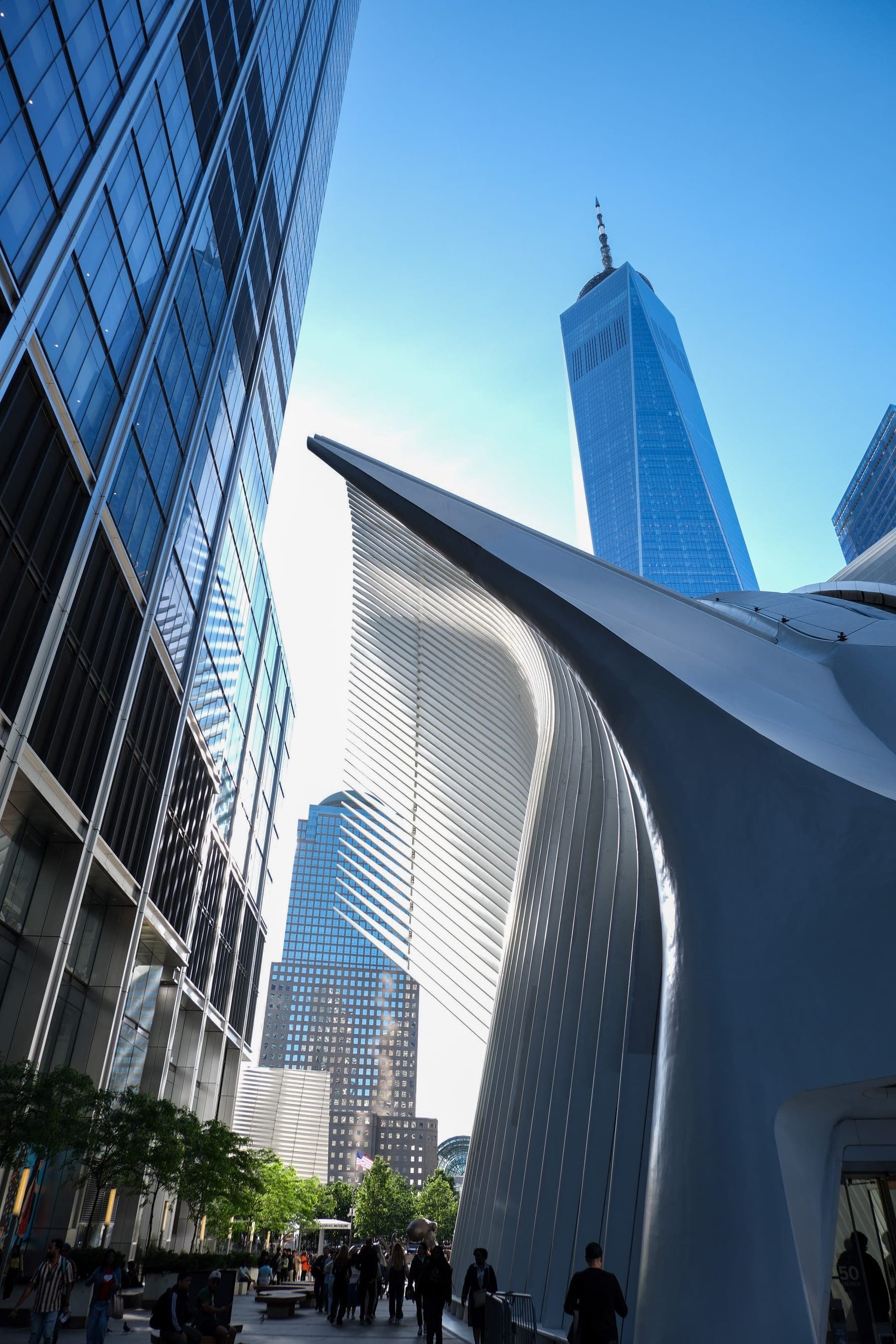 One World Trade Center rising above New York City